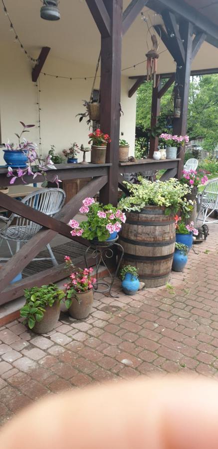 "Jutrzenka" Apartment เบียโวเวียชา ภายนอก รูปภาพ